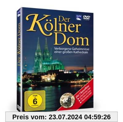 Der Kölner Dom von Nina Koshofer