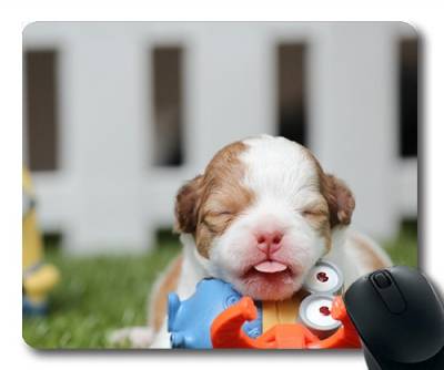 Gaming Mouse Pad. Mac - und Windows - Gamer - Chihuahua - Welpen Niedliche Haustiere Wie Hunde an Kinder Verkauft Werden Yanteng Frauen/Männer von OEM