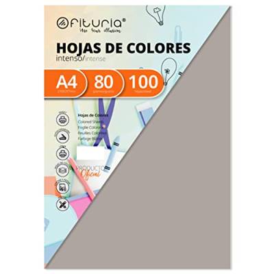 OFITURIA FAB-17749 Pack 100 Hojas Color Gris Tamaño A4 80g von OFITURIA