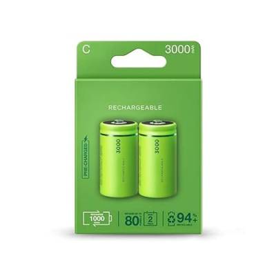 Fabrikvorgeladener 3000 mAh Typ C wiederaufladbarer Akku, 2 Batterien von PRENDELUZ