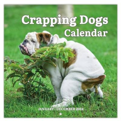 Pawlickio Wandkalender 2024 - Kalender 2024, Januar 2024 - Dezember 2024, 12-Monatiger Kalender mit Kackenden Hunden 2024, Lustige Gag-Geschenke A von Pawlickio