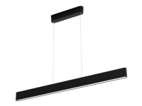 Ensis Hue pendant black 2x39W 24V von Philips