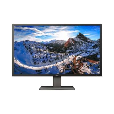 Philips P-line 439P1 109,2 cm (43 Zoll) - 3840 x 2160 4K von Philips