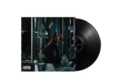 Paint My Bedroom Black (Std. Black Vinyl) von Polydor (Universal Music)