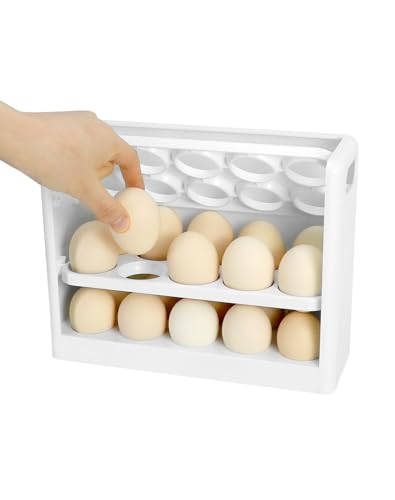 QWORK® Platzsparend Eierbehälter für Kühlschrank und Küchentheke - 30 Eier Kapazität - 25x19.5x10.5 cm von QWORK