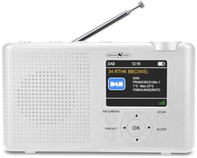 Reflexion TRA23DAB/WH, Tragbares UKW Radio mit DAB/DAB+ (16 Watt) Farbdisplayanzeige, Netz- und Batteriebetrieb, 40 Senderspeicherplätze, Schwarz von REFLEXION