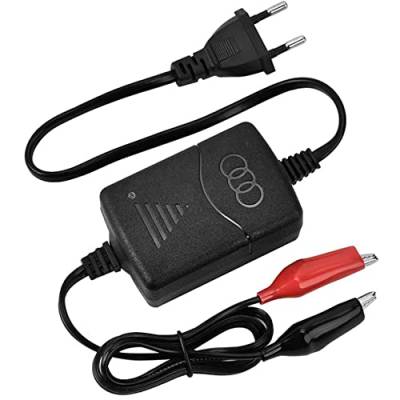 Riloer 12V intelligentes Batterieladegerät, Blei-Säure-Batterieladegerät, Geeignet für 12V Blei-Säure-Batterien Motorradbatterien Batterie Autobatterien von Riloer