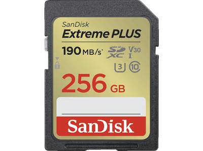 SANDISK SDSDXWV-GNCIN EXTR.PLUS 2, SDXC Speicherkarte, 256 GB, 190 MB/s von SANDISK