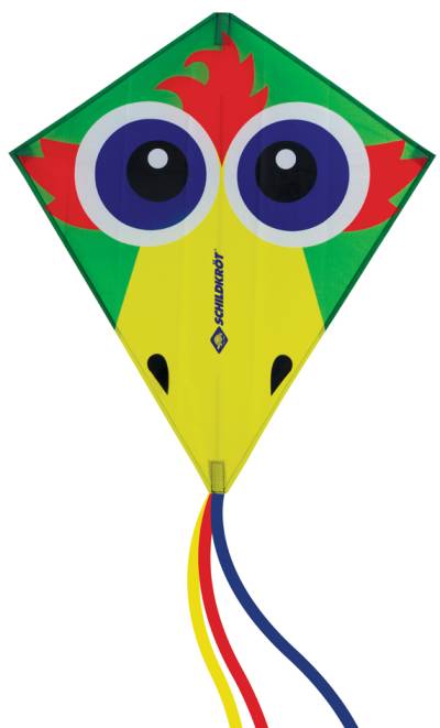 SCHILDKRÖT Lenkdrache Classic Kite 70 , Crazy Bird, von SCHILDKRÖT
