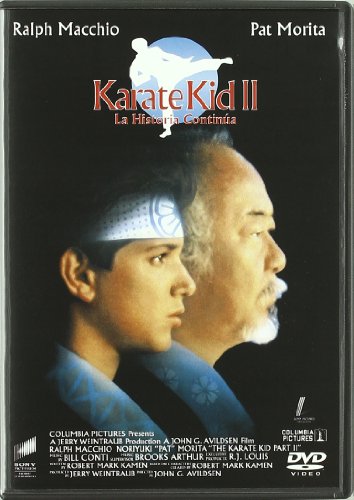 Karate Kid 2 [Wichtig] von Sony