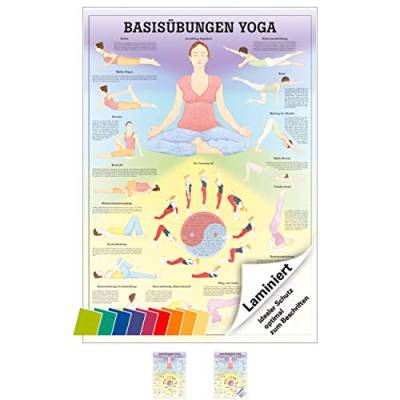 Sport-Tec Basisübungen Yoga Mini-Poster Anatomie 34x24 cm medizinische Lehrmittel von Sport-Tec