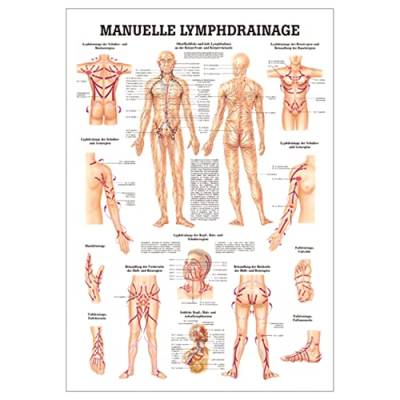 Sport-Tec Manuelle Lymphdrainage Lehrtafel Anatomie 100x70 cm medizinische Lehrmittel von Sport-Tec