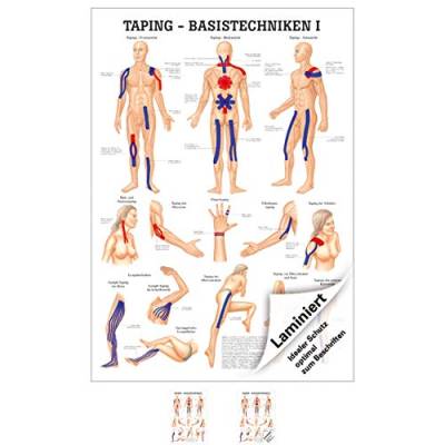 Sport-Tec Taping Basistechniken I Lehrtafel Anatomie 100x70 cm medizinische Lehrmittel von Sport-Tec