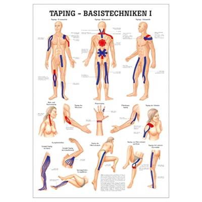 Sport-Tec Taping Basistechniken I Lehrtafel Anatomie 100x70 cm medizinische Lehrmittel von Sport-Tec