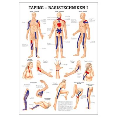 Sport-Tec Taping Basistechniken I Mini-Poster Anatomie 34x24 cm medizinische Lehrmittel von Sport-Tec