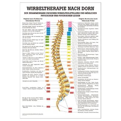 Wirbeltherapie nach Dorn Poster Anatomie 70x50 cm medizinische Lehrmittel von Sport-Tec