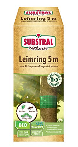 Substral Naturen Bio Leimring, Raupenleimring inkl. Bindedraht, gegen Raupen, Ameisen und andere Schadinsekten, 5m von Substral