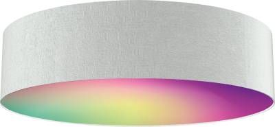 MLI 404120 - Smart Light, tint, Deckenleuchte Malea, grau, 40 cm, RGBW von TINT