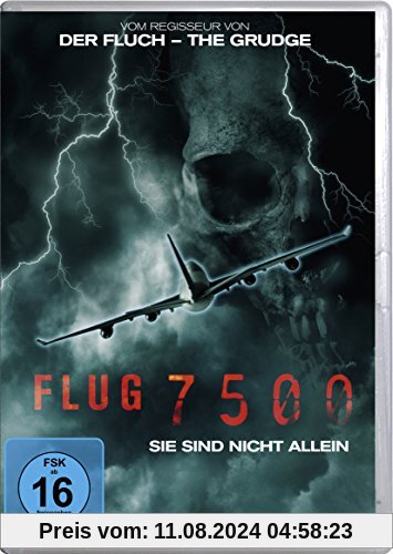 Flug 7500 - Sie sind nicht allein von Takashi Shimizu