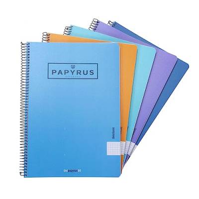 Unipapel 98442093 Notizbücher, kariert, 5 Stück, 5 x 5 mm, Papyrus 08-Unicclassic, Folio-Format, Papier 90 g, 80 Blatt, zufällige Farbauswahl, Polypropylen-Einband von Unipapel