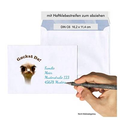 Briefumschlag lustiger Strauß C6 - selbstklebend, passend zu unseren Einladungskarten für Geburtstag oder Klassentreffen (50 Umschläge) von Unser-Festtag