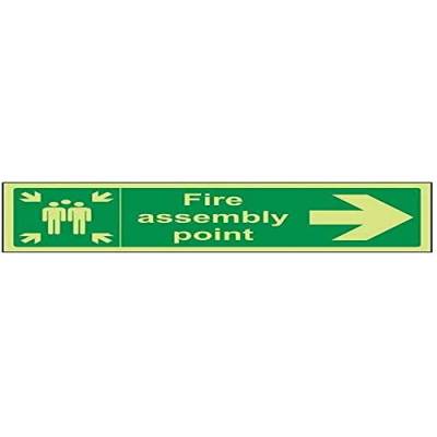 17022 vsafety Hauskatze ax-g "FIRE Assembly Point Pfeil rechts" Sign, Glow In Dark, 1 mm Kunststoff, Landschaft, 300 mm x 100 mm, grün von VSafety