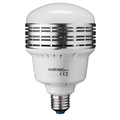 Walimex Pro LED Lampe LB-35-L für Fotoaufnahmen (E27 Sockel, 35 Watt, 3500 Lumen, 5500K, entspricht Tageslicht, flackerfrei) von Walimex pro