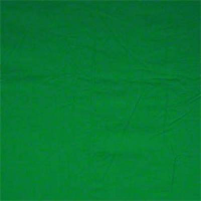 Walimex Stoffhintergrund (L x B) 6m x 2.85m Grün von Walimex