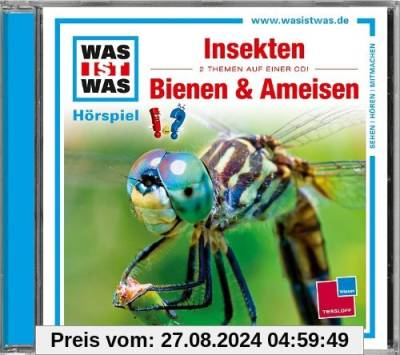 Folge 37: Insekten/Bienen und Ameisen von Was Ist Was