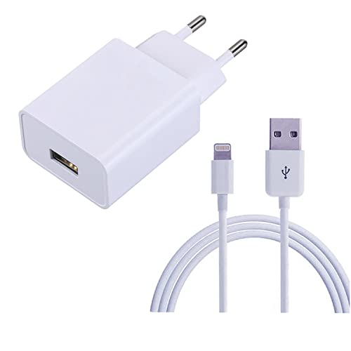 ZLONXUN Ladegerät 12W USB Netzteil und Ladekabel Kompatibel mit iPad air 3/2/1, iPad Mini 5/4/3/2, iPad Pro (9,7"/10,5"), iPad Pro 12,9" (1.Gen/2.Gen) von ZLONXUN