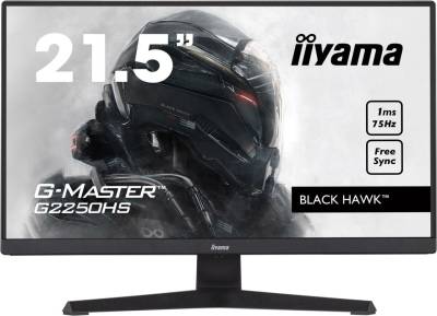 Iiyama G-MASTER G2250HS-B1 Gaming Monitor 54,7 cm (21,5 Zoll)