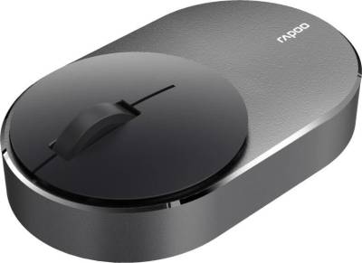 Rapoo M600 Mini Silent - Schwarz/Grau