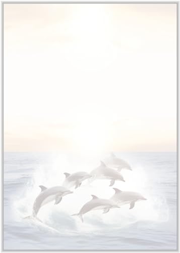 DIN A4 Briefpapier Delfine - Papier Dolphins - 20 Blatt - Motiv Nr. 042 | 80g/m² von deLuxeTuning.de