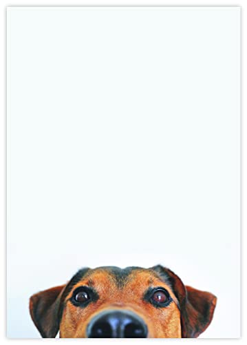 DIN A4 Hundemotive Briefpapier mit Hund - Papier Hunde - 20 Blatt - Motiv Nr. 040 | 100g/m² von deLuxeTuning.de