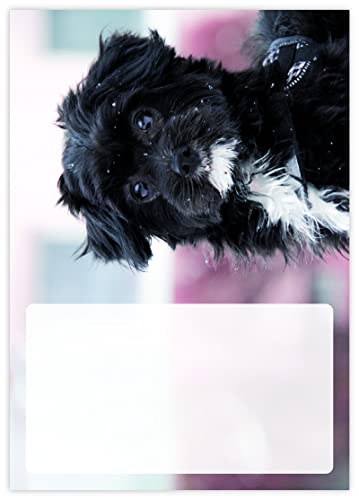DIN A4 Hundemotive Briefpapier mit Hund - Papier Hunde - 20 Blatt - Motiv Nr. 159 | 80g/m² von deLuxeTuning.de