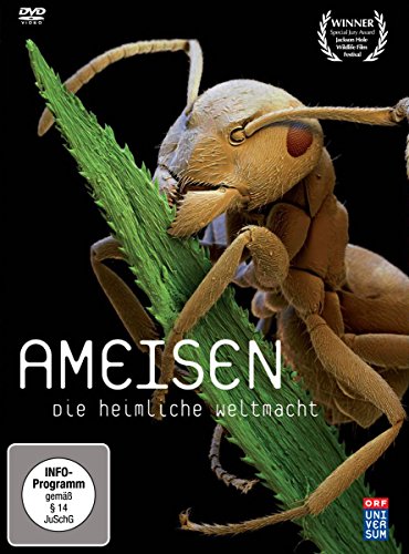 Ameisen - Die heimliche Weltmacht von -