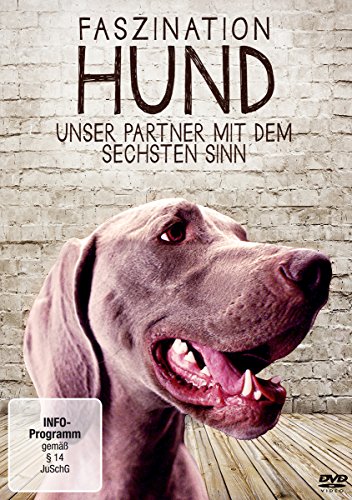 Faszination Hund - Unser Partner mit dem sechsten Sinn von -