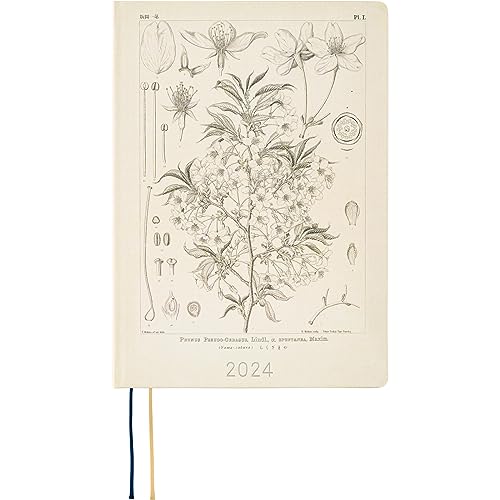 Hobonichi Techo HON A6 [Englisch/A6 Größe/Januar 2024 Start] Tomitaro Makino: Yamazakura von ほぼ日