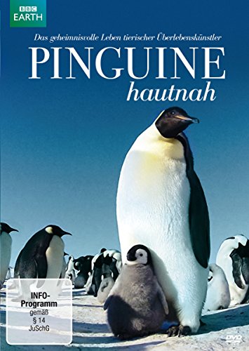 Pinguine Hautnah von -