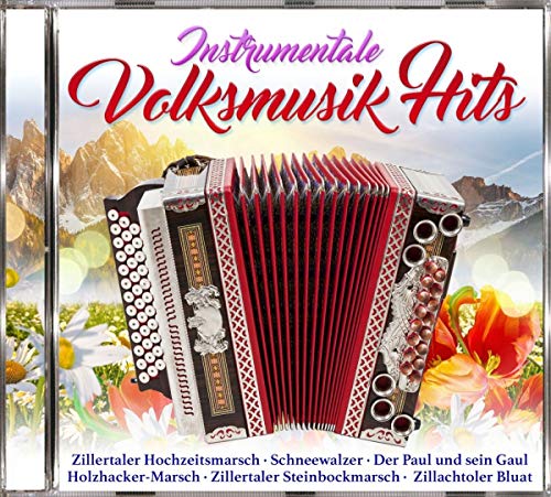 Instrumentale Volksmusikhits von 06369 Euro (Mcp Sound & Media)