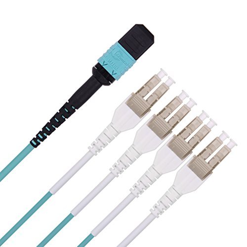 10Gtek Fiber Optic Cable Patch Cord - MPO to 8X LC Fanout Fiber Jumper Patch Cord, OM4 Multimode 8-core Fiber, Application for QSFP+Transceiver, 1m(3.3ft), Breakout 0.5m von 10Gtek