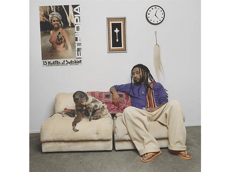 AMINE - 13 MONTHS OF SUNSHINE (PURPLE) (Vinyl) von 10K PROJEC