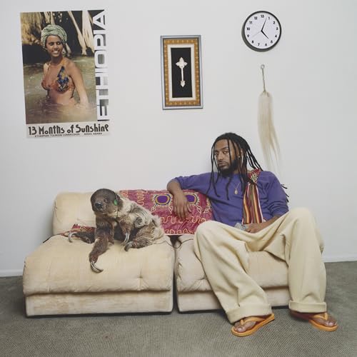13 Months of Sunshine (Black Vinyl) [Vinyl LP] von 10k Projects / Cargo