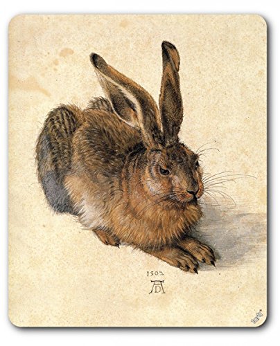 1art1 Albrecht Dürer Junger Feldhase, 1502 Mauspad 23x19 cm von 1art1