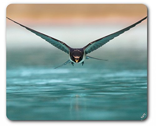 1art1 Vögel Schwalbe Im Gleitflug Über Der Wasser-Oberfläche Mauspad 23x19 cm von 1art1