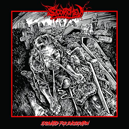 Exavated for Evisceration (Black Vinyl) [Vinyl LP] von 20 BUCK SPIN