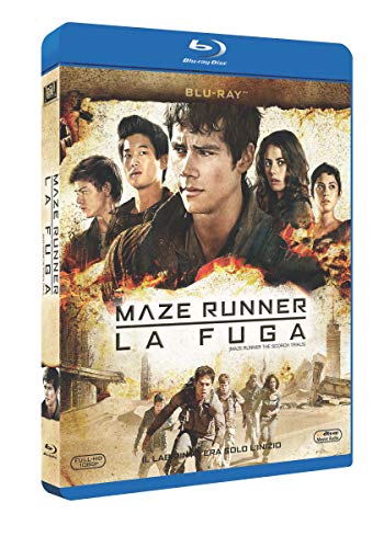 Twentieth Century Fox H.E. Brd maze runner - la fu [Blu-ray] von Eagle Pictures