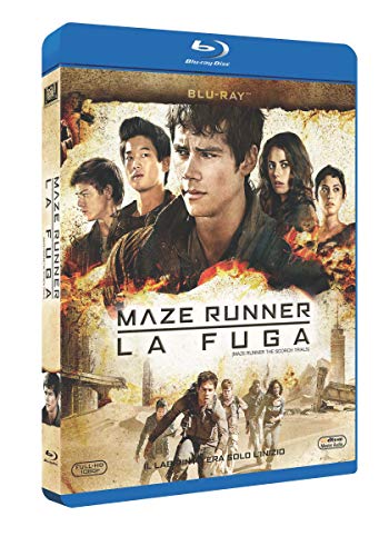 Twentieth Century Fox H.E. Brd maze runner - la fu [Blu-ray] von 20th Century Fox