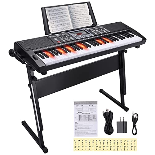 24HOCL 61 Key Premium Electric Keyboard Piano for Beginners with Stand, Built-in Dual Speakers, Microphone, Headphone, Stand & Display Panel (Schwarz) von 24HOCL