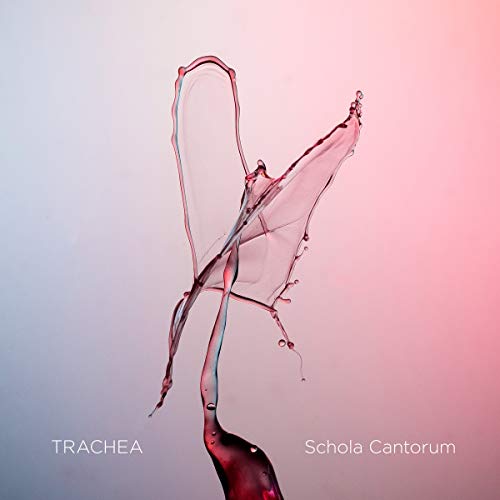 Trachea von 2L